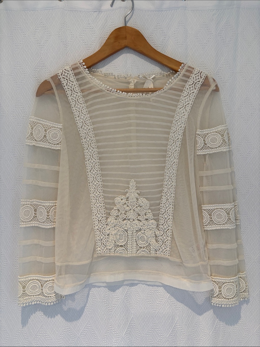 Sheer and lace top Blouse